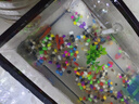 Barbarous Growth鱼缸水族箱客厅阳台家用中小型自循环懒人免换水生态塑料金鱼缸 大号黑色【造景氛围套餐】 实拍图