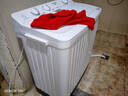 荣事达洗衣机半自动家用大容量双桶双缸波轮洗衣机脱水双筒 半自动洗衣机以旧换新 11.6公斤洗+脱【洗8KG+脱3.6KG】 实拍图