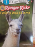英文原版 Ranger Rick: I Wish I Was 我希望我是 美国儿童科普杂志动物系列 12册合售 I Can Read系列Level 1阶段 实拍图