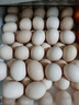 京鲜生【供港品质】【每日鲜蛋】无抗谷物鸡蛋30枚3.78斤当日产蛋当日发 实拍图