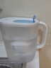 碧然德（BRITA） 家用滤水壶 净水壶滤芯 Maxtra 多效滤芯 6枚装 实拍图