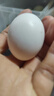 均鲜新鲜土鸽子蛋杂粮喂养农家特产白鸽蛋信鸽蛋孕妇宝宝年货节礼盒装 30枚750g左右精选大个种鸽蛋 实拍图