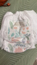 碧芭宝贝丛林狂想曲拉拉裤XXXL码26片(≥18kg)加大码 超薄透气 秋冬不闷 实拍图