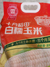 十月稻田 白糯玉米 8根 4.16斤 东北甜粘玉米 非转基因 低脂早餐 实拍图