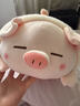 名创优品（MINISO）小猪B-BO新年趴姿毛绒公仔儿童玩具玩偶抱枕娃娃生日新年礼物女 实拍图