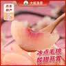 大船渔家冰点毛桃罐头350g每罐水果罐头方便食品 冰点毛桃350g*2草莓320g*2黄桃350g*2 实拍图