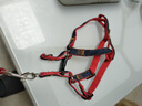 憨憨乐园狗链狗绳小中型犬宠物牵狗绳带拴遛狗泰迪边牧链子牛仔牵引绳S 实拍图