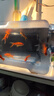 鱼缸背景贴纸缸外静电水族箱专用纯黑色背景壁纸玻璃底部装饰贴膜 鱼缸背景贴【自粘有胶款】赠工具 30厘米宽1米长 实拍图