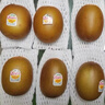 佳沛（zespri）意大利 阳光金奇异果12粒年货礼盒特大果单果约122-146g 猕猴桃 实拍图