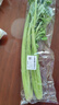 【24小时菜】大芹菜约400g 实拍图