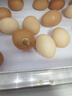 京鲜生 无抗保洁鲜鸡蛋30枚/盒 健康轻食 礼盒送礼 1.5kg/盒 源头直发 实拍图