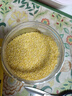 京喜自营 山西黄小米 油小米五谷杂粮月子米杂粮山西特产当季新米 【活动】山西黄小米250g 实拍图