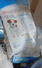 皇家狗粮 幼犬狗粮 宠物 小型犬 MIJ31 全价犬粮 2-10月 2KG 实拍图