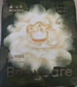 babycare金山茶花纸尿裤NB68片(<5kg)新生儿婴儿尿不湿超薄透气轻柔花苞裤 实拍图