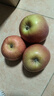 酸甜多汁东北鸡心果苹果生鲜礼盒丑苹果新鲜当季生鲜水果整箱批发 带箱1斤净果0.9斤 实拍图