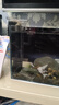 YEE鱼缸金晶超白金鱼裸缸8060家用客厅桌面小草缸龟缸玻璃生态溪流缸 30*17*20【4w过滤器套餐】 实拍图