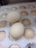 九華粮品散养土鸡蛋40枚 净重3斤 农家柴鸡蛋 笨鸡蛋 月子蛋 实拍图