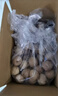 楼兰蜜语新疆纸皮核桃1500g/箱原味核桃温185纸皮节日送礼坚果炒货特产 实拍图