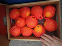 京鲜生 四川爱媛38号果冻橙 净重5斤 单果190g起 生鲜水果年货礼盒 实拍图