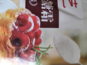 展艺一级糖霜250g糖粉饼干细砂糖白砂糖蛋糕糖葫芦山楂雪球原料 实拍图