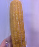 佳农东北黄糯玉米棒8袋*220g 软糯香甜 真空锁鲜 源头直发 礼盒包邮 实拍图