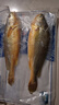 威尔斯（WEIERS）宁德大黄鱼1400g/2条装  地标认证黄花鱼 生鲜鱼类春节也送货 实拍图