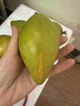 优味集【JD顺丰】蛋黄果鸡蛋果新鲜面包果热带水果生鲜云南特产狮头果 1000g精品大果（单果100-150g） 实拍图