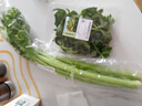 大芹菜约400g 实拍图