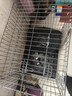 腆宠狗笼猫笼 狗笼子中小型犬带厕所幼犬狗窝猫笼子大号家用围栏兔笼 实拍图
