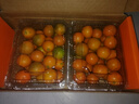 京觅广西融安 滑皮金桔脆皮金桔净重4.5斤单果12g+ 年货水果源头直发 实拍图