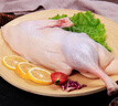 正大食品（CP）樱桃谷鸭半片鸭1.4斤 生鲜冷冻 鸭肉鸭腿鸭锁骨 麻辣鸭货 实拍图
