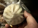 广州酒家鲜汁大肉包390g*2袋 12个 儿童面点 速食懒人 早餐包子半成品早茶 实拍图