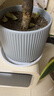 陶瓷花盆绿植盆栽亚光北欧风简约花盆大号桌面绿植盆送塑料托盘 蓝色 中号（13*13*12.3） 实拍图