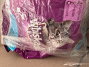 伟嘉成猫猫粮3.6kg海洋鱼味布偶英短猫咪夹心粮全价粮【原料透明】 实拍图