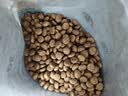 宝诺滋无谷鲜肉全价猫粮成幼猫全品种全期主粮通用试吃猫干粮 三文鱼鲜鸡肉【45%粗蛋白】1斤试吃装 实拍图