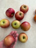 正宗山东红富士苹果丑苹果新鲜水果当季脆甜冰糖心苹果嘎啦果 带箱2斤55mm+ 实拍图