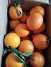 京鲜生 四川爱媛38号果冻橙 净重5斤 单果150g起 生鲜柑橘桔子水果礼盒 实拍图