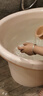 世纪宝贝（babyhood）维尼浴桶 儿童泡澡桶 宝宝加厚洗澡盆 婴儿游泳桶赠浴凳 304粉 实拍图