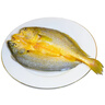 三都港 洄游季带籽黄花鱼1.1kg/条 大黄鱼 海鲜 深海鱼 生鲜 鱼类 年货 实拍图