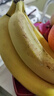 佳农 进口香蕉净重4斤（约10-12根）单根蕉 独立装 生鲜水果 新鲜包邮 实拍图