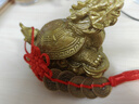 明恩黄铜龙龟摆件八卦龙头龟铜金钱龟龙龟风水摆件办公室家用客厅 小号八卦龙龟【配底座+五帝钱】 实拍图