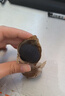 丙田 独头黑蒜600g 紫皮黑大蒜头 山东金乡120天新鲜发酵大果煲汤即食 实拍图