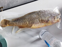 威尔斯（WEIERS）宁德大黄鱼1400g/2条装  地标认证黄花鱼 生鲜鱼类春节也送货 实拍图