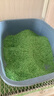 宠幸  升级2mm绿茶豆腐猫砂2.7kg*4 纯豆腐可冲厕所除臭低尘猫砂 实拍图