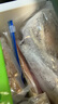 趣尝鲜 鲜冻东海大银鲳鱼1kg(5条装) 平鱼 生鲜 鱼类 深海鱼 海鲜 年货 实拍图