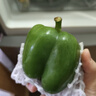 现摘新鲜圆辣椒超市即食太空椒皮厚肉多不辣水果灯笼椒 1斤试吃装1斤 实拍图