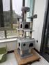 华元宠具（hoopet）猫爬架超大型猫窝猫树一体特大号猫爬柱猫架子猫咪玩具用品猫抓板 实拍图