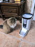迪米兜智能自动喂食器猫狗定时定量APP远程操控带摄像头语音投食不卡粮 4L智能喂食器【语音豪华款】 实拍图