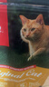 Orijen渴望猫粮 成猫幼猫粮 全价通用无谷原味鸡肉进口1.8kg效期26/11 实拍图