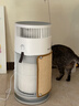 霍尼韦尔（Honeywell）宠物空气净化器吸猫毛除过敏源猫猫搭子 猫毛净化器杀菌消毒除异味KJ360F-C22W 实拍图